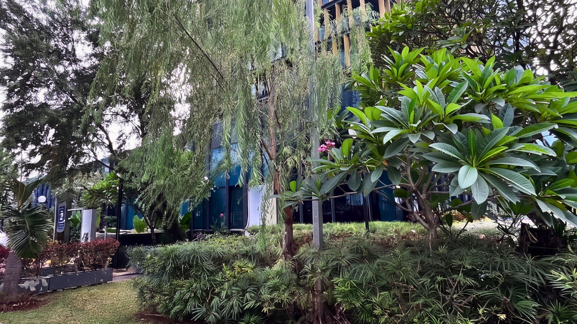 Mature trees and layered greenery in Gran Rubina's landscape.